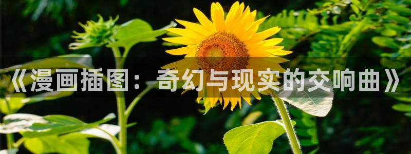 妖神记漫画飞飞漫画网页：《漫画插图：奇幻与现实的交响曲》