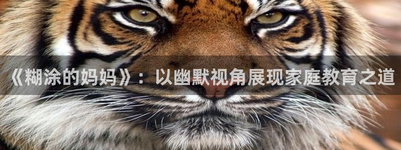 虎视眈眈漫画完整版飞飞漫画：《糊涂的妈妈》：以幽默视角展现家庭教育之道