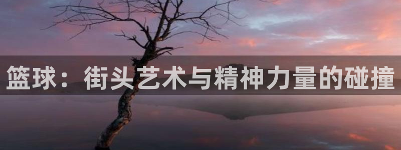 飞飞漫画官网入口：篮球：街头艺术与精神力量的碰撞