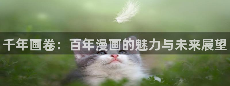 飞飞漫画官网入口：千年画卷：百年漫画的魅力与未来展望
